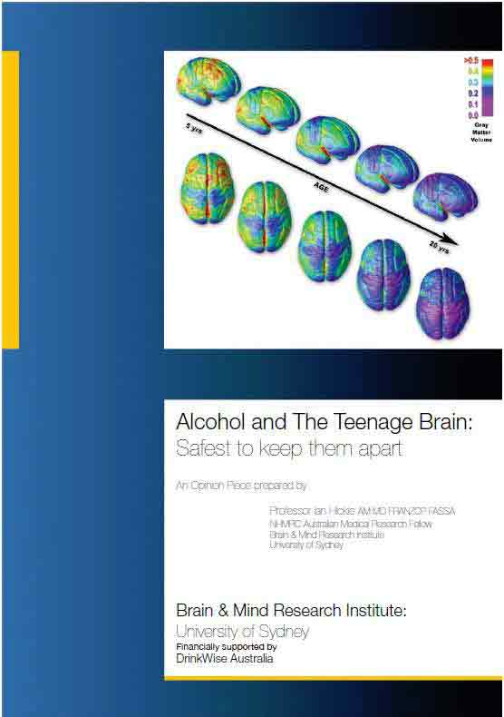 Summary - Alcohol and the Teenage Brain: Safest to keep them apart